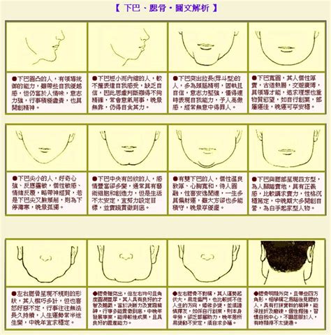 下巴圓 面相|面相：这15种下巴代表的性格福祸(图)